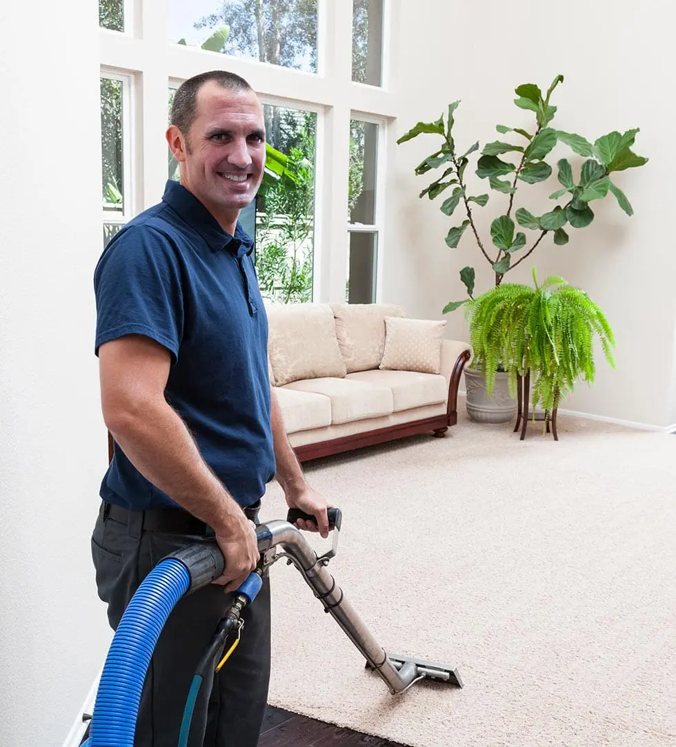 Steam Cleaning Carpets